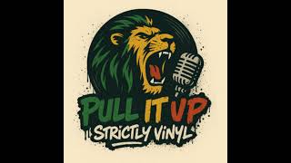 Pull It Up Show - Strickly Vinyl 09 - Mai 2026 screenshot 1