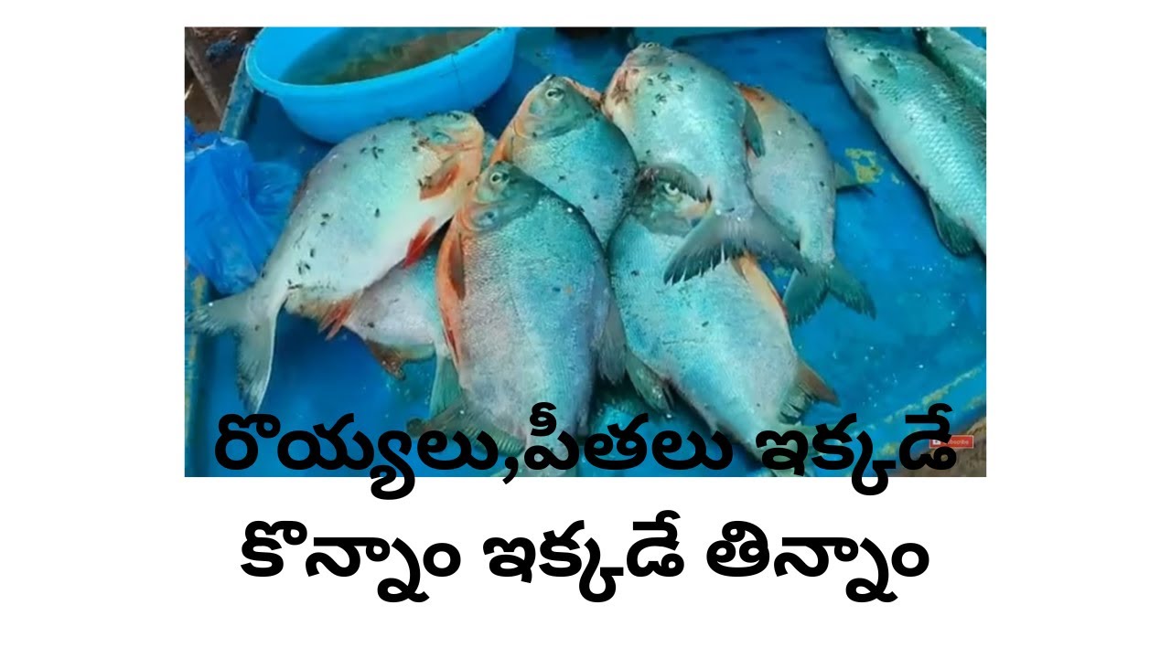 రొయ్యలు,పీతలు ఇక్కడే కొన్నాం ఇక్కడే తిన్నాం