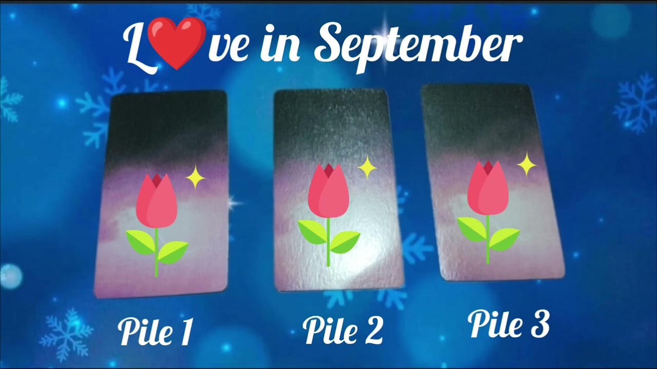 Their Feelings, Next Move, Universe Message for Your Love Life 💖Pick A Pile Reading 💖