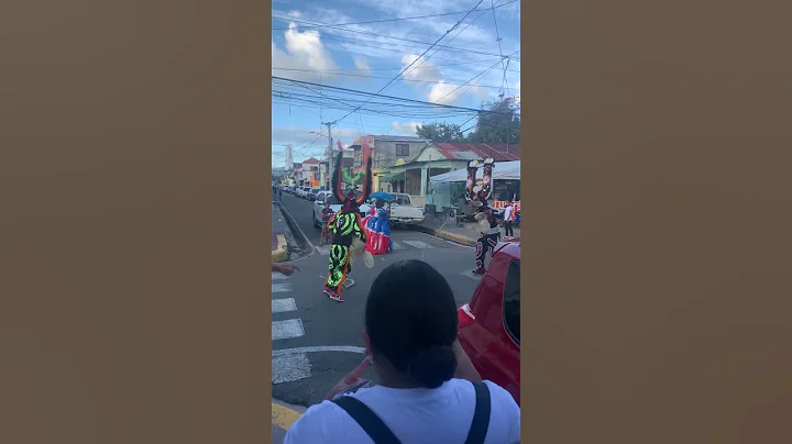 Carnival Dominicano  Emily Brooks