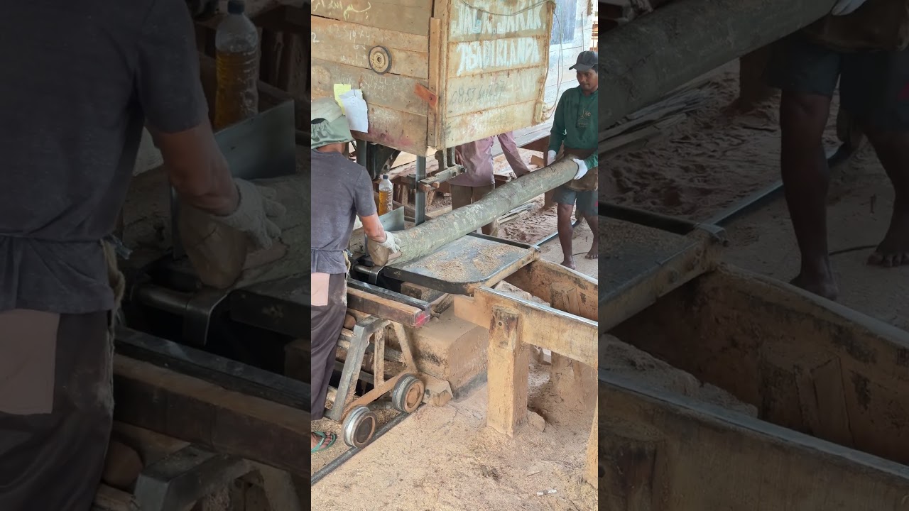 Unveiling Mastery in Precision Cutting and Wood Processing with Expert Sawmill Operators