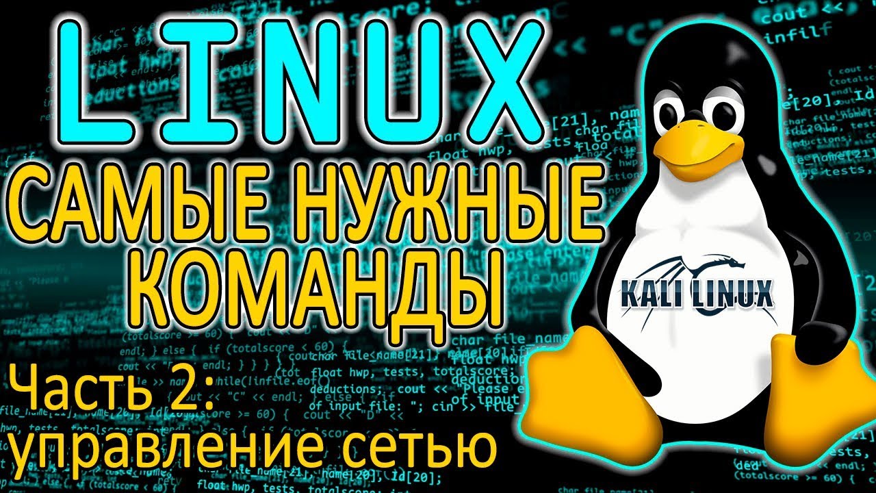 Как просмотреть настройки сети в Linux