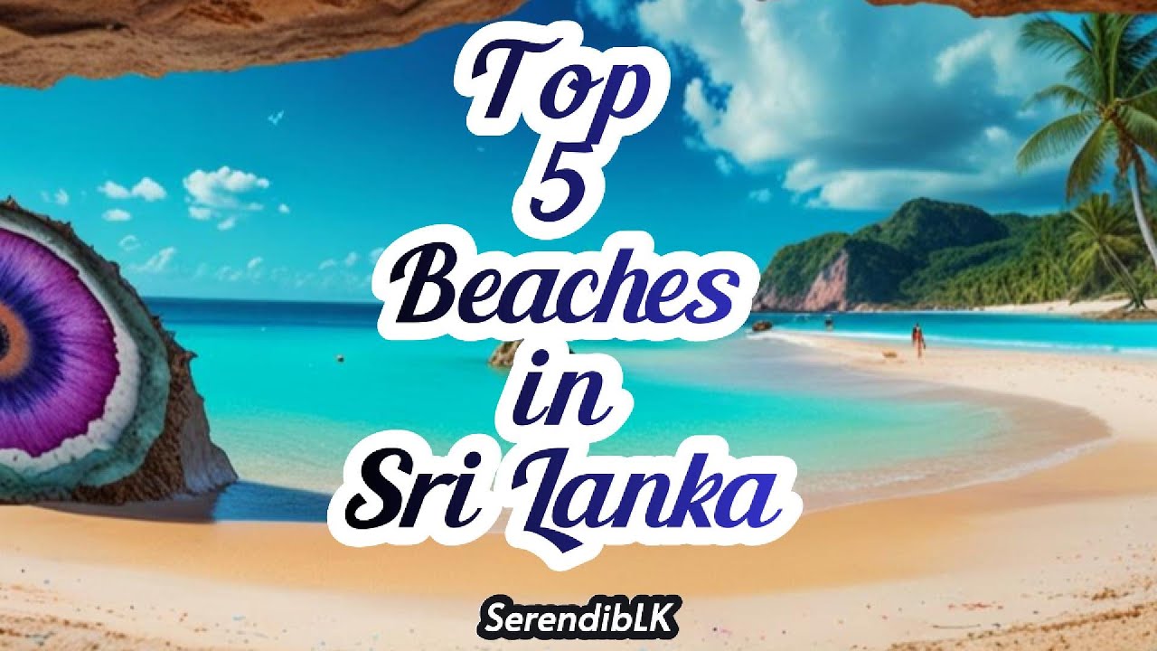 Top 5 Beaches in Sri Lanka 🏄‍♂️🐬 | Paradise Awaits! 🏖️ 