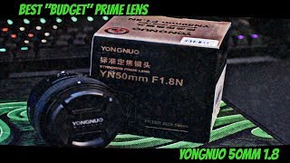 Best 'Budget' Prime Lens - Yungnuo Fixed 50mm F 1.8 (Overview and Sample Photos)