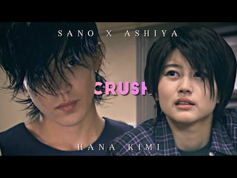 ✧˚‧ crush ∥ hana kimi (sano x ashiya)