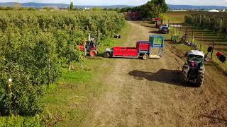 Plantex Zber Jabĺk 2017 J1