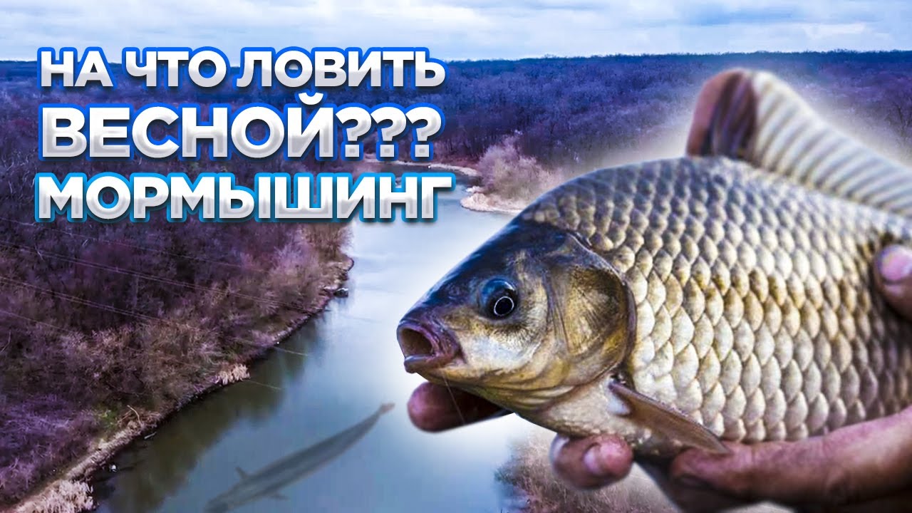 Мормышинг на оке Мормышинг на оке