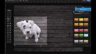 Photo Editing With Pixelmator screenshot 5
