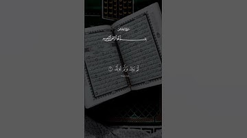 سورة الإخلاص سعد الغامدي 🤍