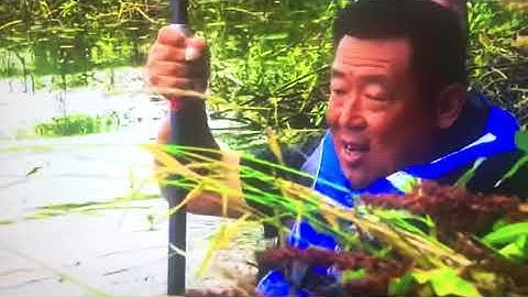 Mấy ông ban tầu khựa về Ngọc lặc câu cá