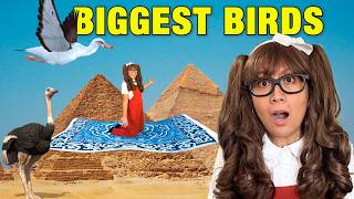 The Biggest Birds In The World Magic Carpet Adventure With Soso