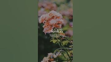 🌿 تلاوة من سورة مريم 🌿 القارئ عبد الرحمن مسعد 🌿 #quran 🌿#قرآن_كريم #تلاوة_هادئة 🌿 #عبدالرحمن_مسعد  🌿
