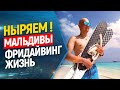 🌞🤙Мальдивы, остров Тодду: Фридайвинг, Жизнь на местном острове, Интересные люди.//Thoddoo, Maldives