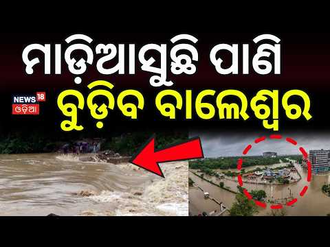 ବାଲେଶ୍ୱରକୁ ପୁଣି ବନ୍ୟା ଭୟ ! Jharkhand Rain Triggers Fresh Flood Fear in Odisha | Baleswar | OdiaNews