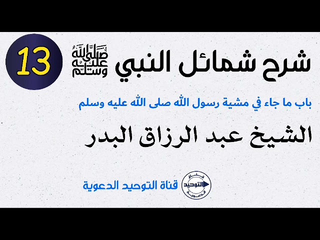 شرح شمائل النبي صلى الله عليه وسلم | الدرس 13 | باب ما جاء في مشية رسول الله صلى الله عليه وسلم