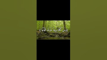 من كان يريد حرث الآخرة نـزد له في حرثه ومن كان يريد | الآية 20 من سورة الشورى