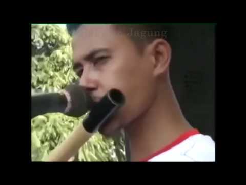 Hujan Duri Gerry Mahesa New Pallapa