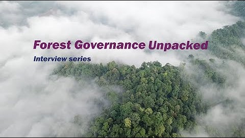 Forest Governance Unpacked interview series