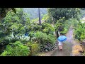 Rain in rural indonesiaa perfect place to liveso relaxing