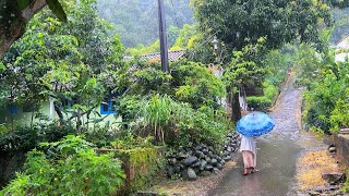 Rain in rural Indonesia||a perfect place to live||so relaxing