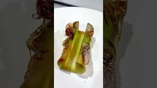 Liuli Glass Business Card Holder | Bamboo and Cicada Luxury Desk Decor