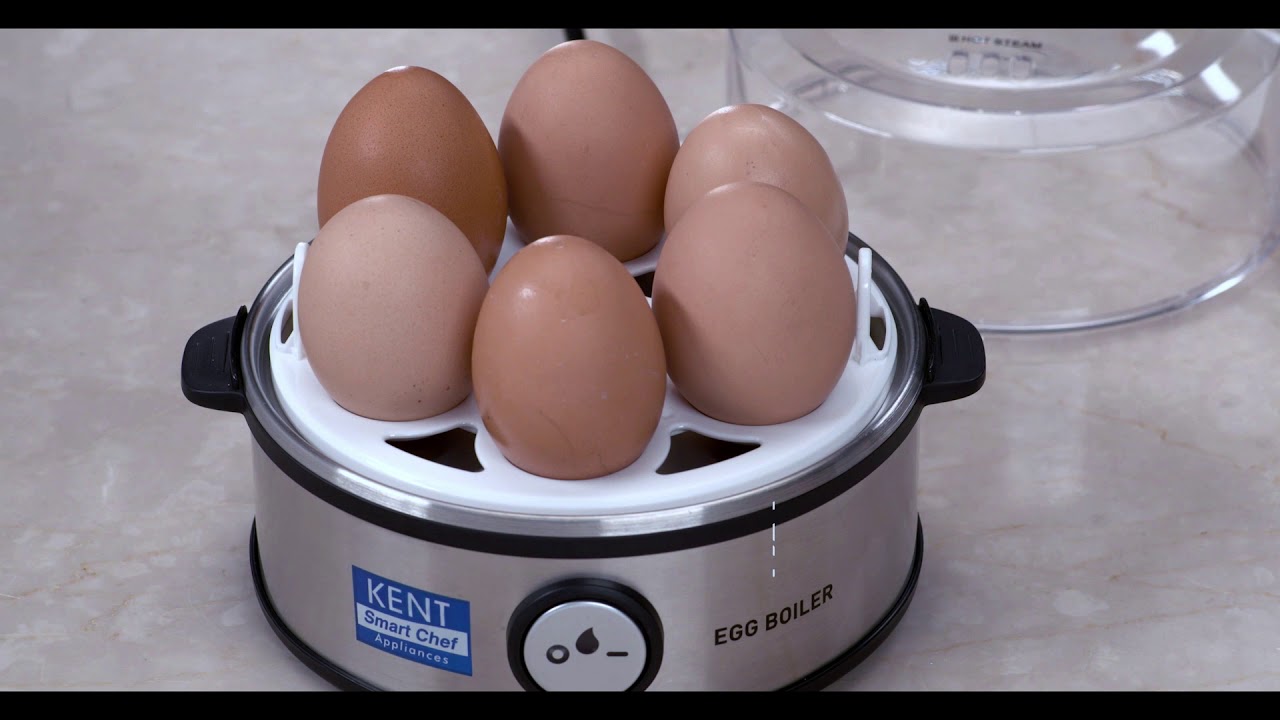 KENT Instant Electric Egg Boiler Demo - How to use? 