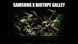 “삼성이 비오토프에게 맡긴 비바리움 ” | A Vivarium, Crafted by Biotope for Samsung | 화질 대모영상 결과물 포함 Samsung OLED PQ