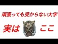 【受験生ママより相談・頑張っても受からない大学】マスクド先生