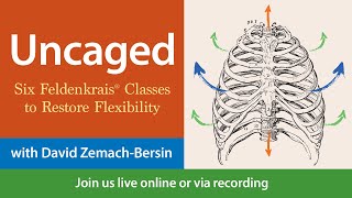 Uncaged: Discovering your Ribs with David Zemach-Bersin