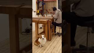 From Raw Wood to a Beautiful Table