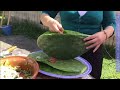 🏡PENCAS DE NOPAL RELLENA RECETA DE MI ABUELA.🏡