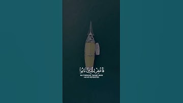 راحة نفسية💕حالات واتس اب قران💕مقاطع دينية قصيرة آيات قرانية||ستوريات انستا#بدون_حقوق