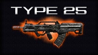 Type 25 Weapon Review | Black Ops 2 - Stats, Attachments & More! (Firing Range)