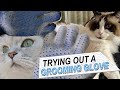 Grooming Glove