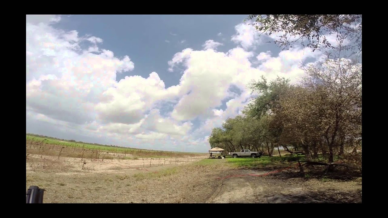 Lampasas/Brownsville, Texas Dove Hunting 2014 YouTube