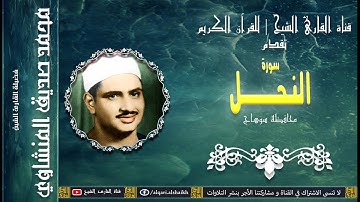 القارئ الشيخ | محمد صديق المنشاوي | سورة النحل | الأقصر
