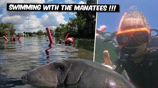Swimming with Wild Manatees in Crystal River, Florida!  A Magical Experience!