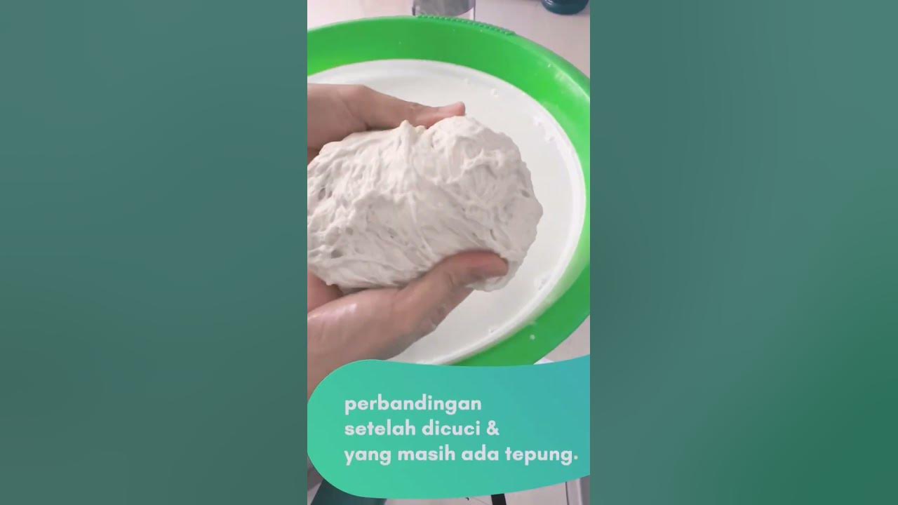 Gluten  (daging vegetarian)