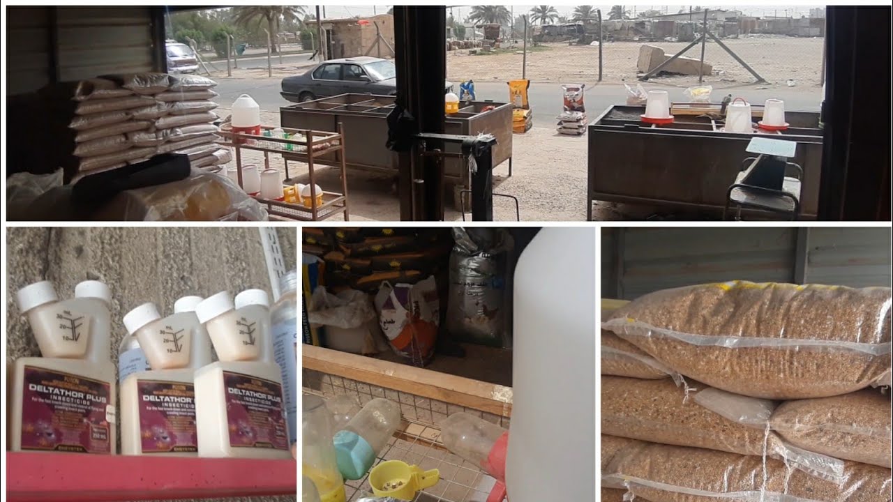 اسعار 🤑الأعلاف 🌾لجميع الطيور 🦜بالمفرد والجمله 🙂