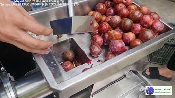 Máy vắt nước cốt trái mận, khóm, gừng - Điện Cơ Xanh - 0984467870