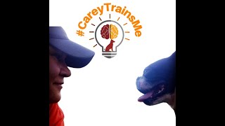 Reward Marker Training, how to train it and how to use it.