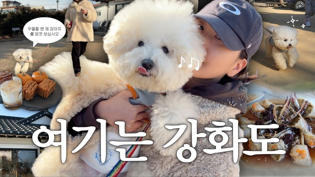 Vlog 한파 속 우리의 완벽한 하루, 주말에 시간을 놓치지 않는 법, 강화도 나들이