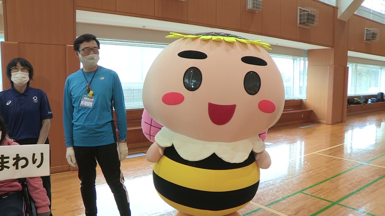 簡単ボッチャの楽しみ方