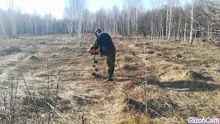 Посадка саженцев хвойных и субботник.