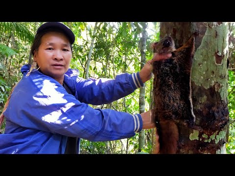 ตามล่ากระรอกบินในป่าลึกกับอาม่า[AKHA NOI]