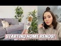 Painting, New Sofa + Building Furniture! 🧚🏼‍♀