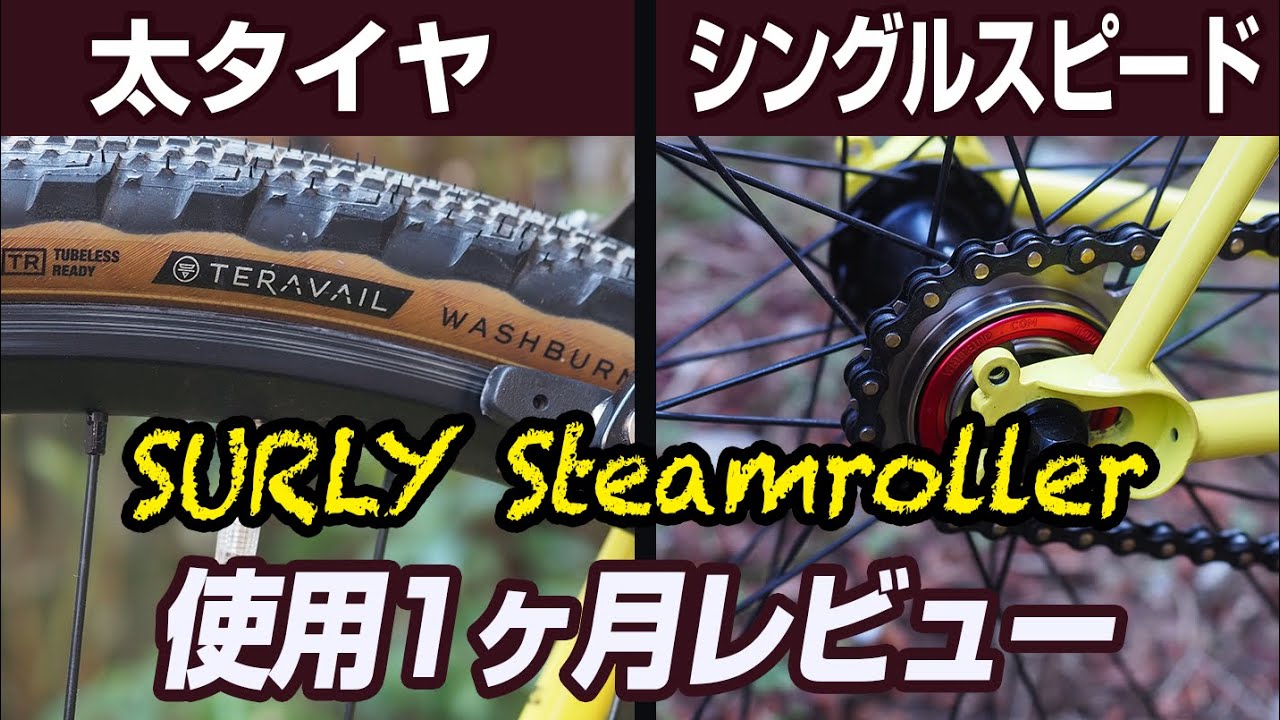 D365 スチームローラー Steamroller