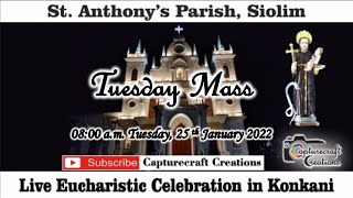 Tuesday Konkani Mass Live at 8.00am, 25th January 2022 | St Anthony's Church Siolim