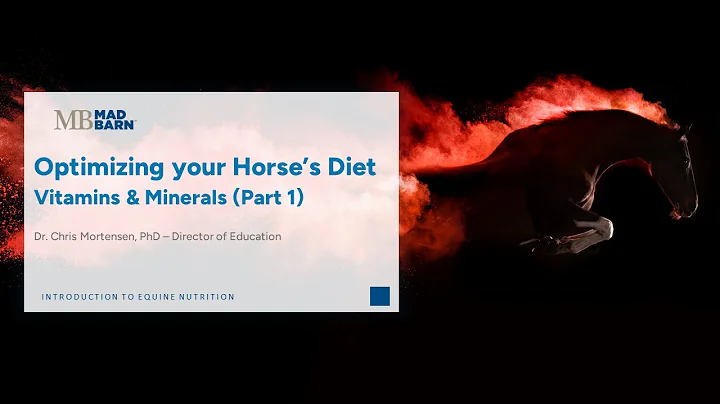 3.5 Vitamins and Minerals: Part 1 - Introduction to Equine Nutrition - Mad Barn Academy