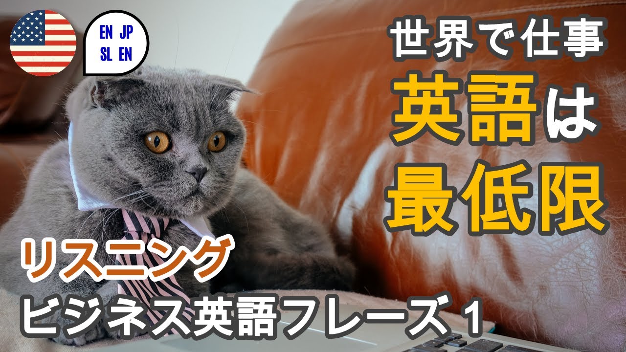 解説つき ビジネス英語フレーズ1 聞き流し En Jp Slen Youtube